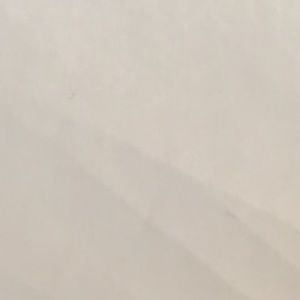 Meet your Posher, Trina